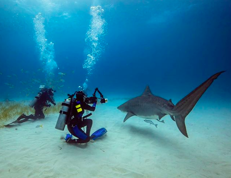 Foto subaquatica noronha