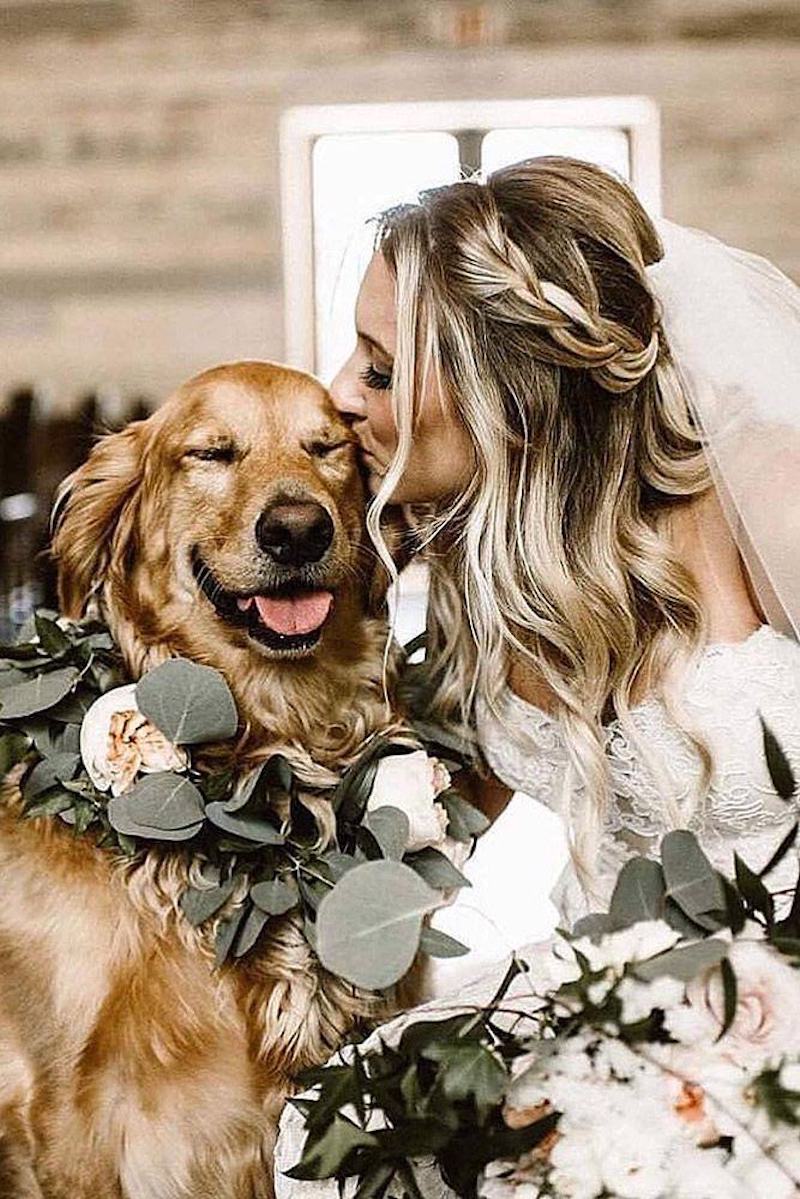 noiva com seu cão em casamento