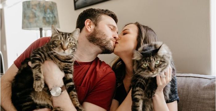 25 fotos inspiradoras para casais apaixonados por cães e gatos