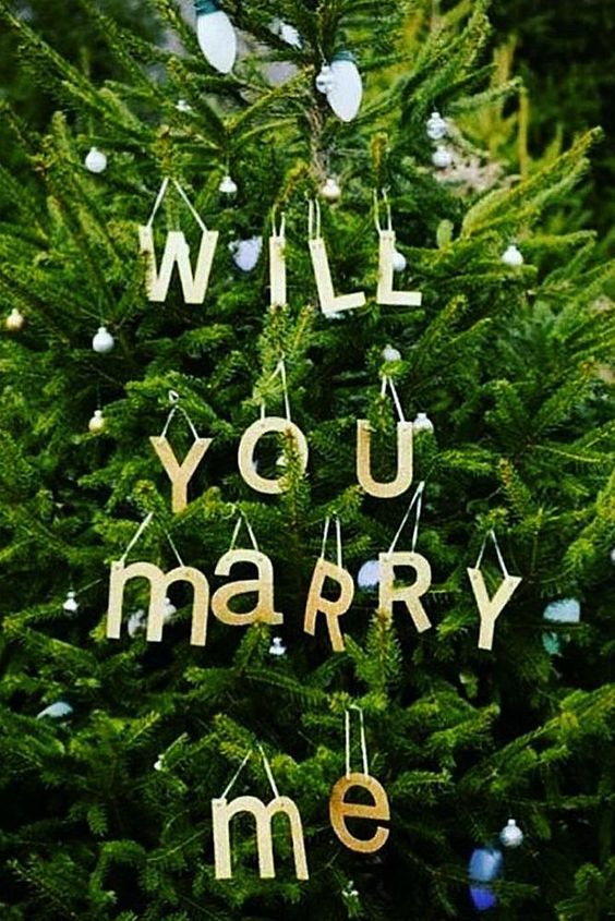 pedido de casamento na árvore de natal