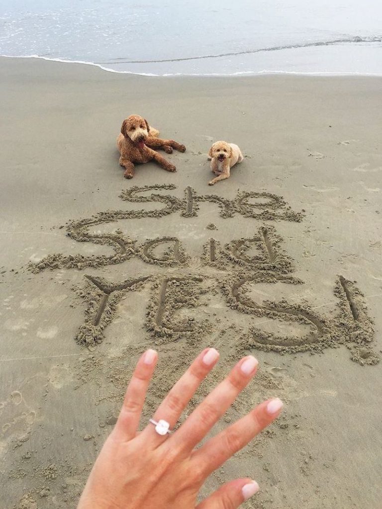 pedido de casamento na areia