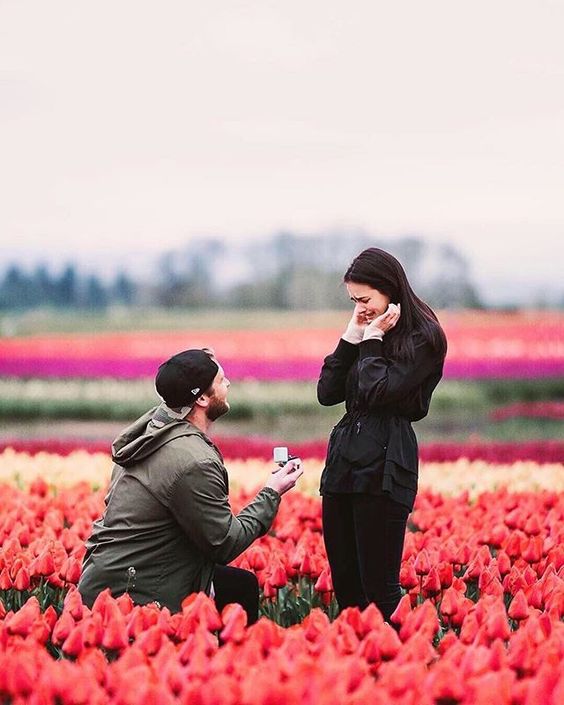 pedido de casamento em campo de flores