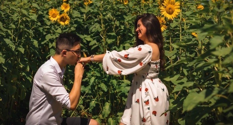 Pedido de casamento surpresa: ela disse “sim” em um campo de girassóis