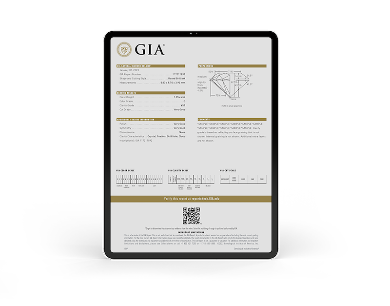 relatório digital GIA