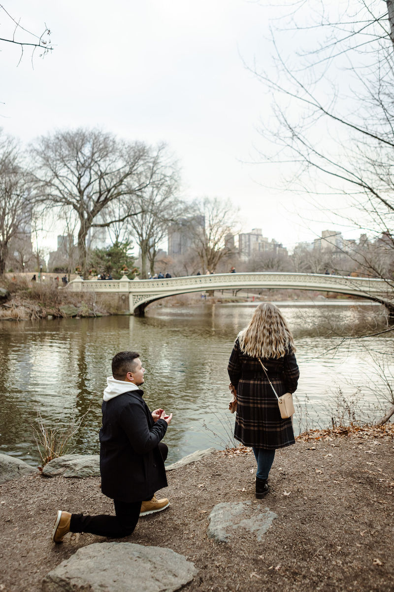 como preparar um pedido surpresa no Central Park?