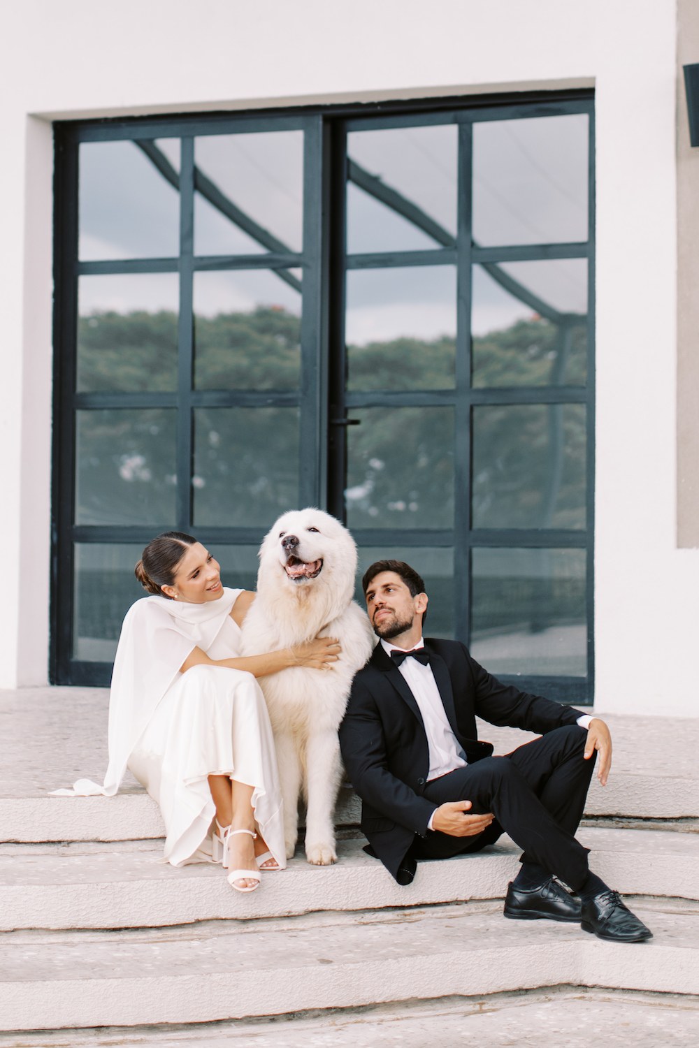 tendência de casamento pet-friendly