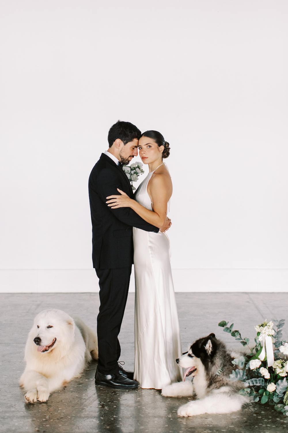 cachorros no casamento