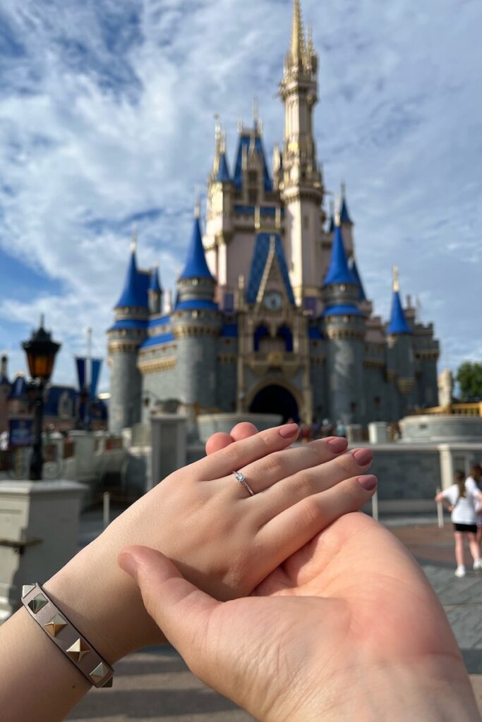 pedido surpresa no parque da Disney